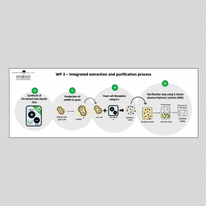 University of Aveiro Delivers Key Contribution to the Yscript Project